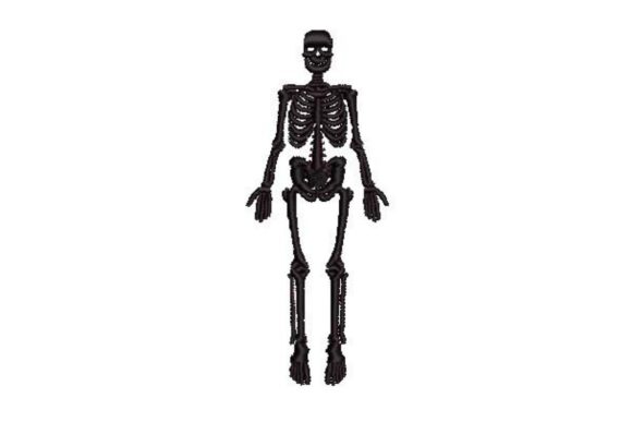 Vintage Anatomical Skeleton Embroidery Review